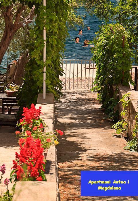 Apartments Antea & Magdalena Pirovac Dış mekan fotoğraf